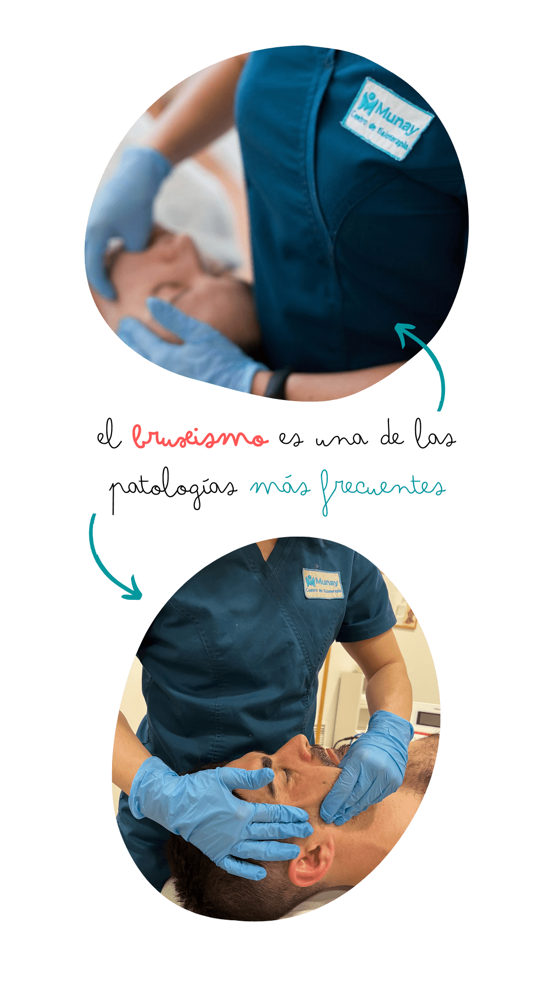 Craneomandibular